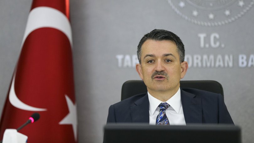 Bakan Pakdemirli: Muz üretimi 550 bin tona ulaştı