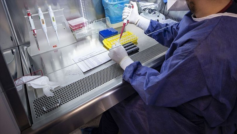 PCR testi şartı arayan ülkelere gidecekler ücretli test yaptırabilecek - Haberler