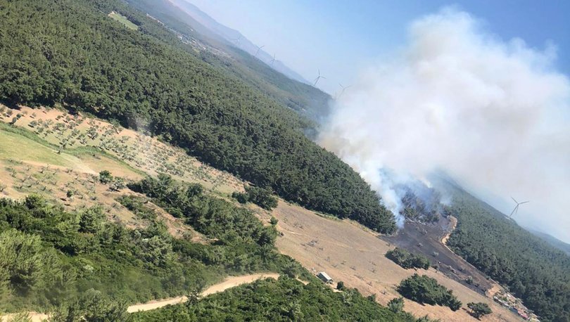 Son dakika haberler... İzmir'de korkutan orman yangını!