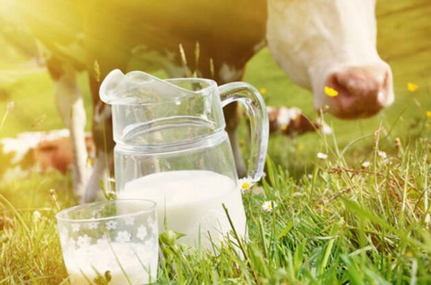 İnek sütü alerjisinde tanı, belirtiler ve tedavi yöntemleri