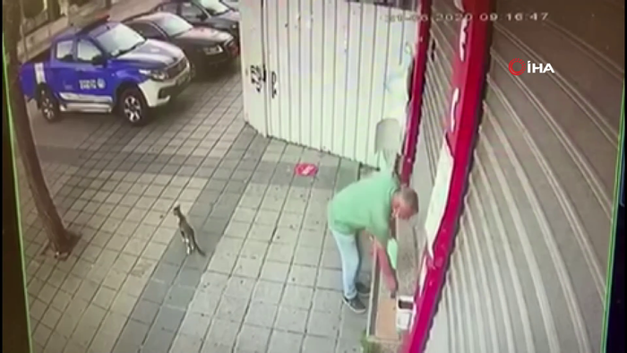 Kedi bile şaştı! 'Yok artık' dedirten hırsızlık