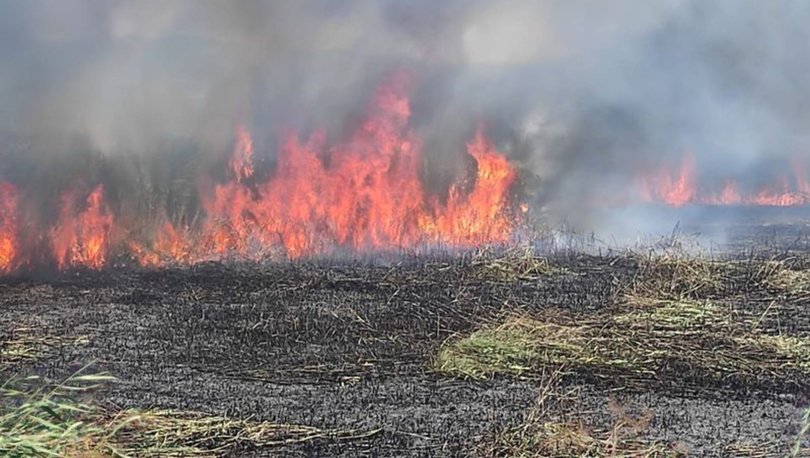 İznik'te sazlık alanda yangına müdahale ediliyor