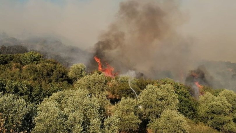 Son dakika! İzmir'de orman yangını