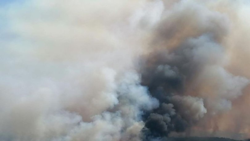 Edirne'de orman yangını! Kontrol altına alındı