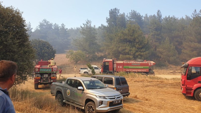Son dakika haberler... Çanakkale'de korkutan orman yangını!