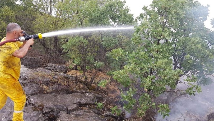 Diyarbakır'ın Lice ilçesinde dağlık alanda çıkan örtü yangınına müdahale ediliyor