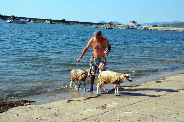 'Ade' ve 'Bade'yi kurbanlık yapmaya kıyamadı