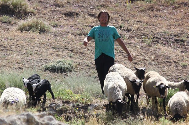 Yurt dışındaki kariyerini bırakıp Sivas'ta çoban oldu