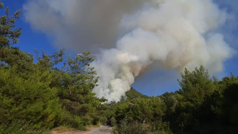 Manisa'nın Ahmetli ilçesinde çıkan orman yangınına müdahale ediliyor