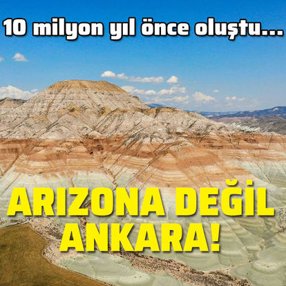 arizona degil ankara