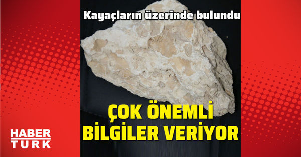 Kayaclarin Uzerinde Bulundu Cok Onemli Bilgiler Veriyor Haberler