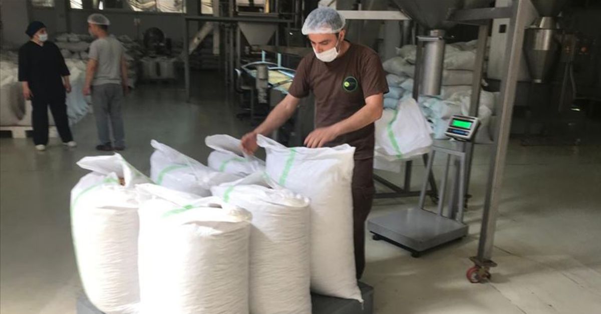 FİSKOBİRLİK, 2020 ürünü fındık alımına başladı - İş-Yaşam Haberleri