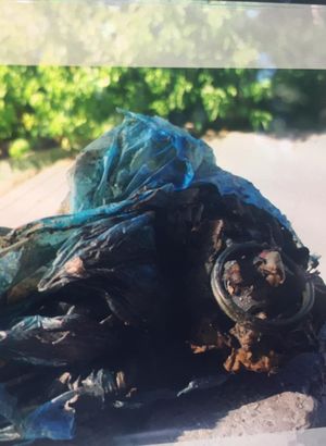 Balıkçıların oltasına 'el bombası' takıldı!