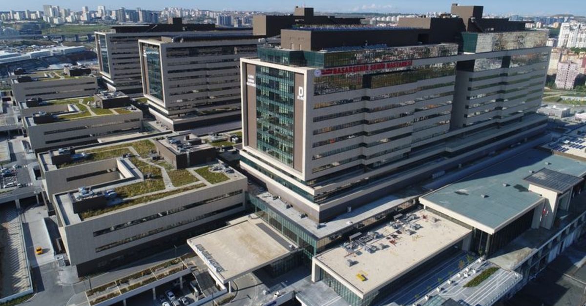 Sakura ne demek? (Japonca) Şehir Hastanesi'ne ismi verilen Sakura'nın