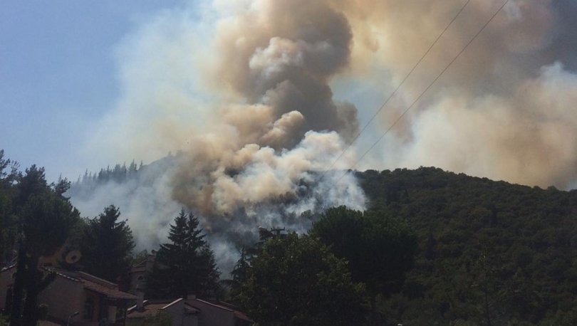 Son dakika haberi Kocaeli'nde korkutan orman yangını!