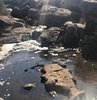 Bodrum'da atık su iddiası