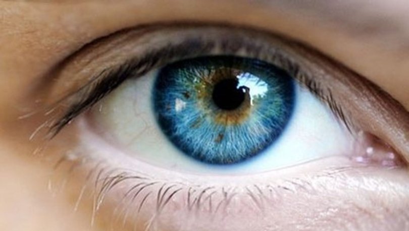 Görme nasıl oluşur? Göz hastalıkları nelerdir?