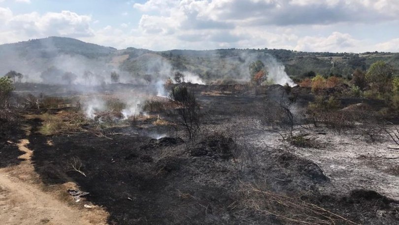 Şanlıurfa’daki orman yangını büyümeden kontrol altına alındı
