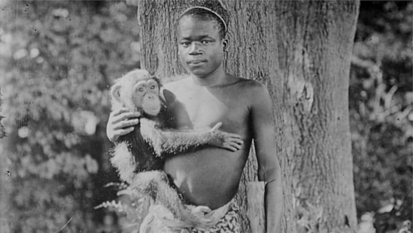Kafesteki Kongolu çocuk: ABD'deki hayvanat bahçesinin özür dilemesi neden 114 yıl aldı?