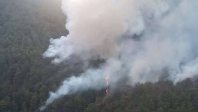 Son dakika haberler... Adana’da ormanlık alanda yangın!