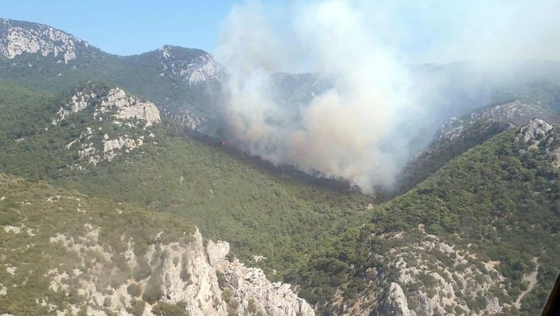 Son dakika haberler... İzmir'de orman yangını!