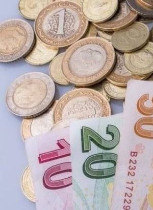 Pandemi sosyal yardımı başvurusu için TIKLA! E-Devlet 1000 TL sosyal destek başvuru sonucu sorgula