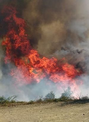 Kastamonu’da 500 hektarlık ormanlık alanda yangın çıktı