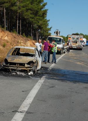 Araçta çıkan yangın otluk alana sıçradı