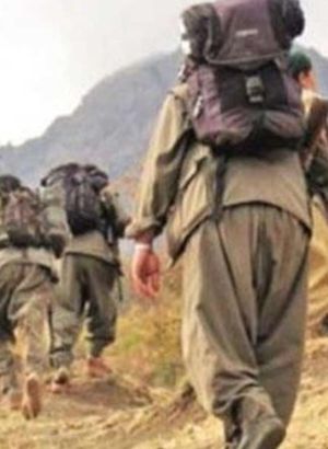 Şırnak'ta iki terörist daha teslim oldu