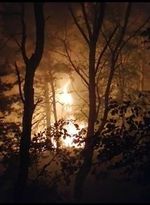 Tokat'ta korkutan orman yangını