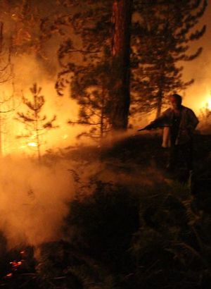 Bolu’da orman yangını kontrol altına alındı