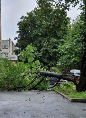 Rusya'da Maysak tayfunu hayatı felç etti!