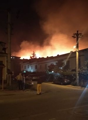 Armutlu'da çıkan orman yangını korku dolu anlara neden oldu