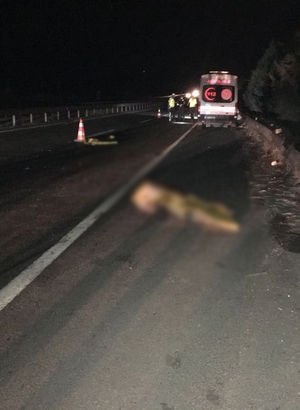 Bilecik'te otomobilin çarptığı yaya hayatını kaybetti