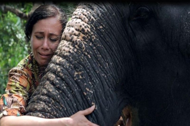 Hindistan'daki tapınak fillerini kurtarmaya çalışan kadın