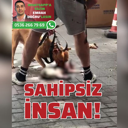 sahipsiz vahsetine ceza son dakika