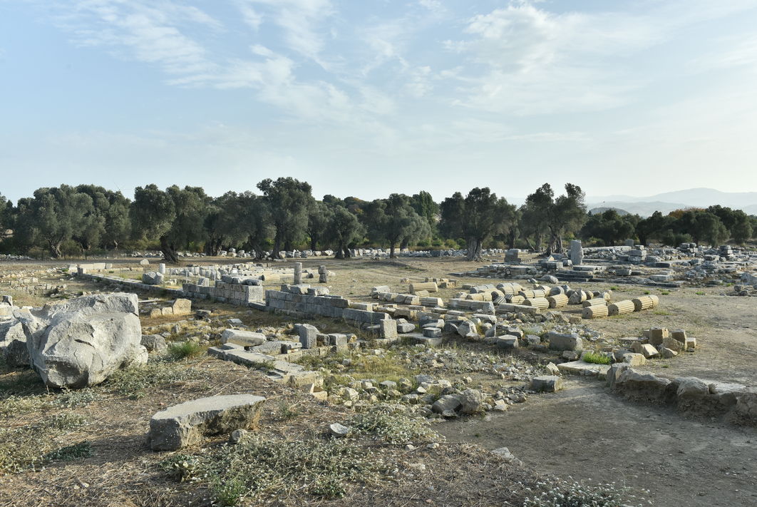 Teos Dionysos Tapınağı