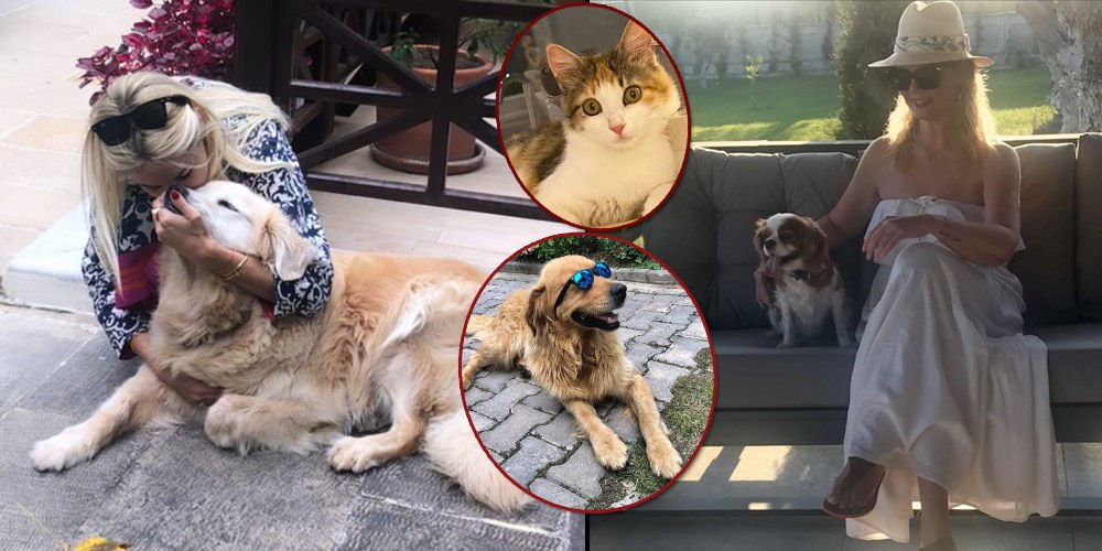 Minik dostlarını unutmadılar!