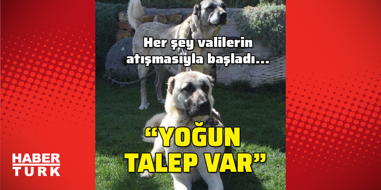 Her Sey Valilerin Atismasiyla Basladi Yogun Talep Var Sanal Basin