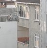 İstanbul Avcılar’da dehşete düşüren bir olay meydana geldi. İlçede, henüz bilinmeyen bir sebeple komşusuna kızan bir kişi, eline pompalı tüfeği alarak evinin penceresinden rastgele ateş açtı. Sokakta bulunan 3’ü çocuk toplam 4 kişi yaralanırken, kendini eve kapatan şahıs ise polisin uzun uğraşları sonucu ikna edilerek gözaltına alındı