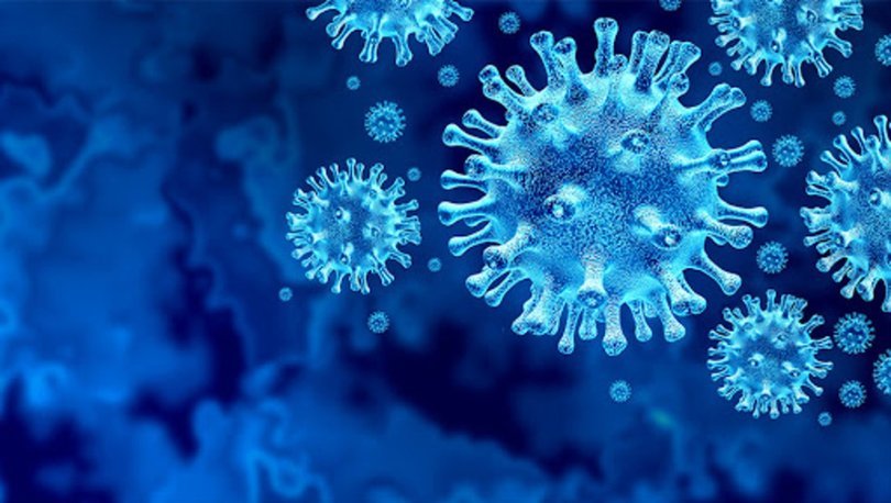 Corona virüsü belirtileri nelerdir? İşte gün gün koronavirüs belirtileri