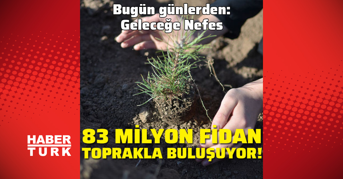 83 milyon fidan toprakla bulusacak