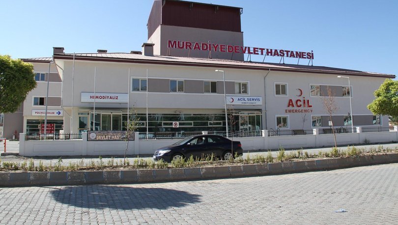 Son dakika: Van'da bir kadın eniştesini silahla öldürdü ...