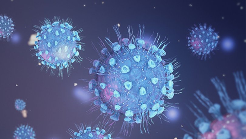 Corona Virusu Belirtileri Nelerdir Iste Yeni Gun Gun Koronavirus Belirtileri Gundem Haberleri