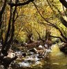 Yazı ayrı sonbaharı ayrı güzel...