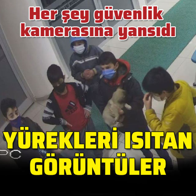 Güvenlik kamerasına yansıdı... Yürekleri ısıtan görüntüler