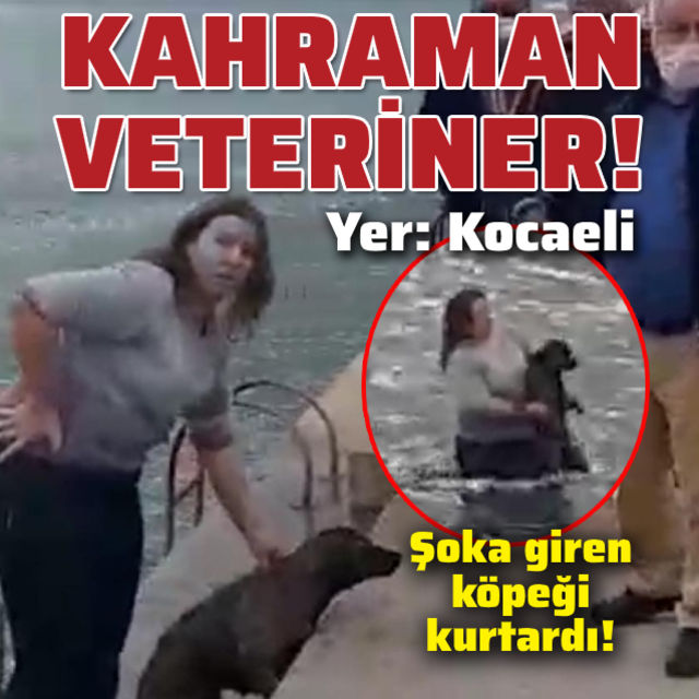 Soğuk suda şoka giren köpeği kurtardı!