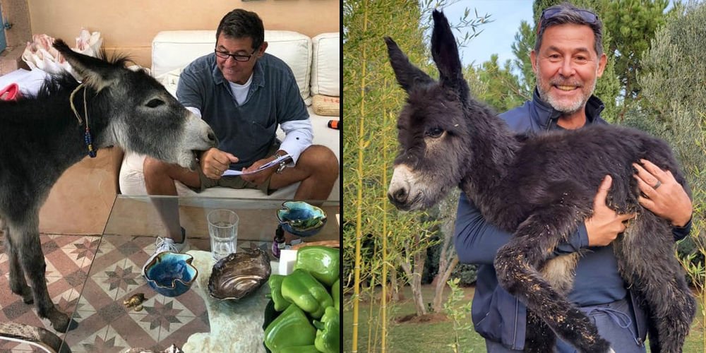 "Kömür sıpamız doğdu"