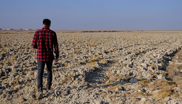 Son dakika: ÇORAK OVA! Konya Ovası'nda kuraklık alarmı - Haber