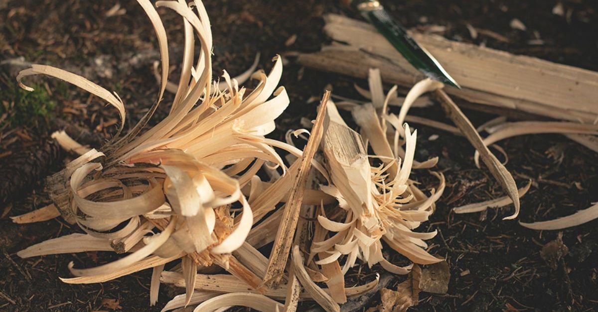 Çıra suyu nedir? Çıra suyunun faydaları nelerdir? | Sağlık ...